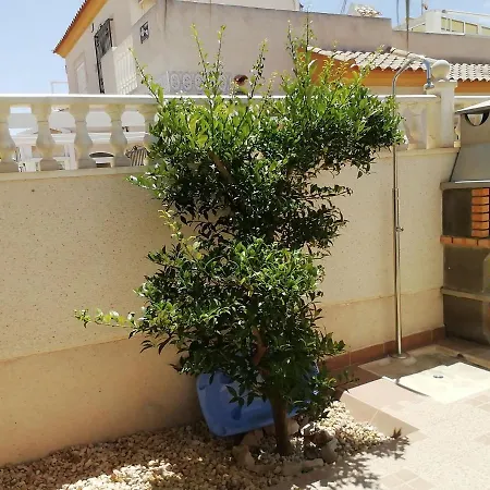Дом В Старинном Классическом Стиле * La Mata (Torrevieja)