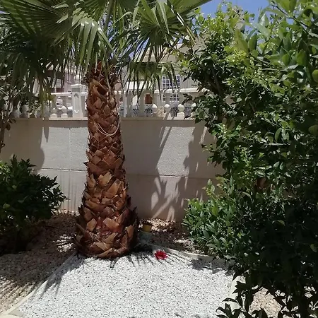 Дом В Старинном Классическом Стиле La Mata (Torrevieja)